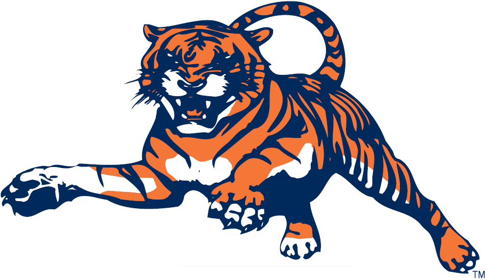 Auburn Tigers 1982-1997 Alternate Logo t shirts DIY iron ons